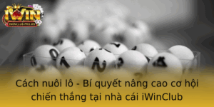 Cach Nuoi Lo Bi Quyet Nang Cao Co Hoi Chien Thang Tai Nha Cai Iwinclub