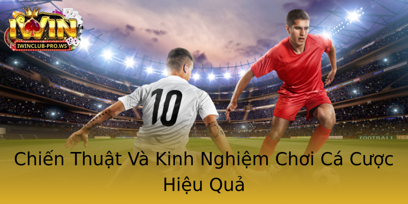 Chiến Thuật Và Kinh Nghiệm Chơi Cá Cược Hiệu Quả Chiến Thuật Và Kinh Nghiệm Chơi Cá Cược Hiệu Quả
