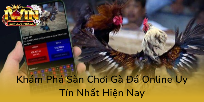 Đá Gà iWinClub - Nhà Cái Cá Cược Điện Tử Đẳng Cấp, Uy Tín Nhất Hiện Nay 1 Kham Pha San Choi Ga Da Online Uy Tin Nhat Hien Nay0